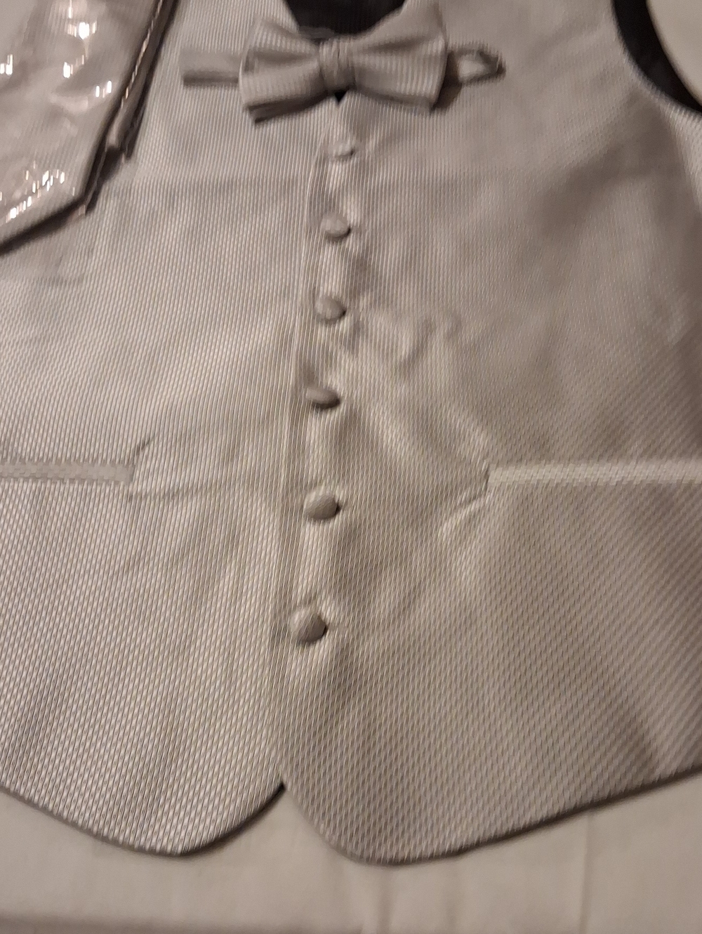 Men's Silver Textured Dress Vest with Matching Bow Tie